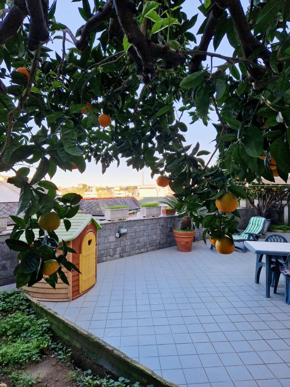 Fuga A Napoli Apartment Exteriér fotografie